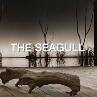chekhov-seagull
