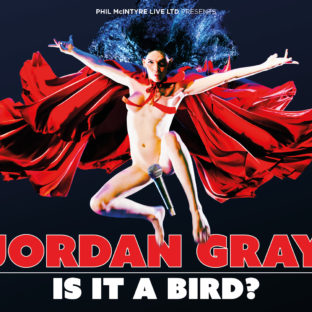 jordangray-is-it-a-bird-1920x1080-312x312