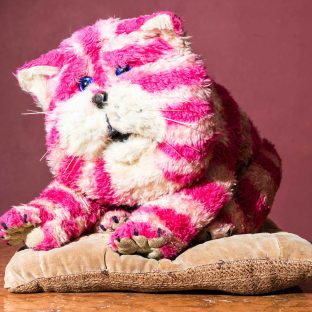 A white and pink striped cat sits on a cushion