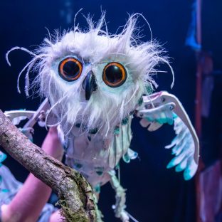 An Owl Puppet